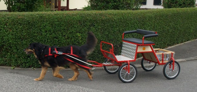 Kutsche rot Zorbas 73 KB
